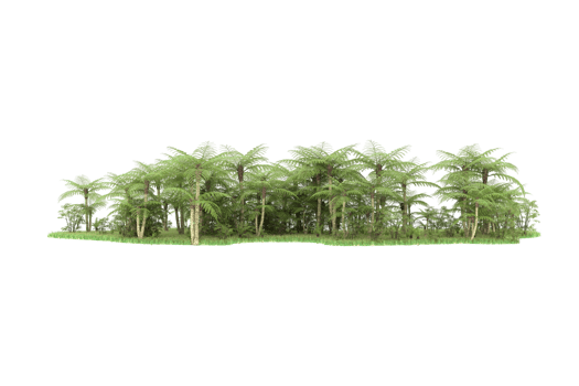 Realistic forest isolated on transparent background. 3d rendering - illustration png