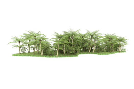 Realistic forest isolated on transparent background. 3d rendering - illustration png