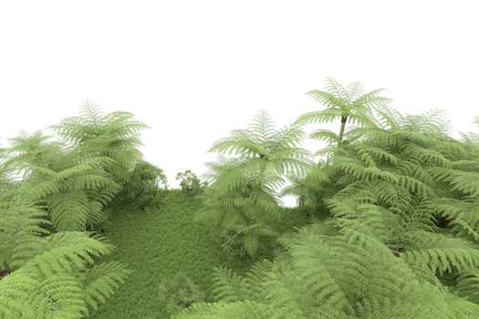 Realistic forest isolated on transparent background. 3d rendering - illustration png