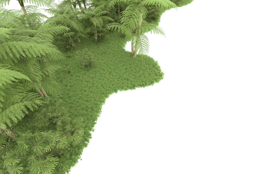 Realistic forest isolated on transparent background. 3d rendering - illustration png