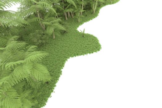 Realistic forest isolated on transparent background. 3d rendering - illustration png