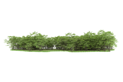 Realistic forest isolated on transparent background. 3d rendering - illustration png