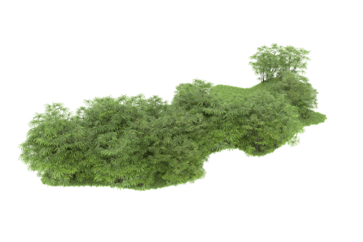 Realistic forest isolated on transparent background. 3d rendering - illustration png