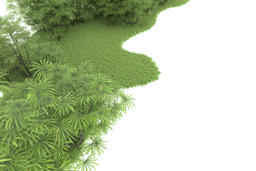 Realistic forest isolated on transparent background. 3d rendering - illustration png