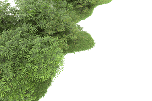 Realistic forest isolated on transparent background. 3d rendering - illustration png