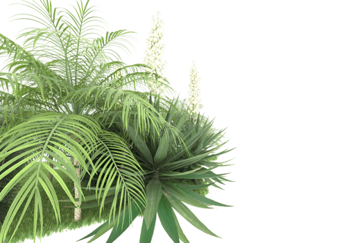 Realistic forest isolated on transparent background. 3d rendering - illustration png