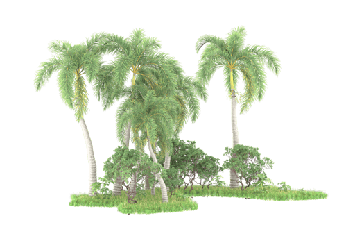 Realistic forest isolated on transparent background. 3d rendering - illustration png