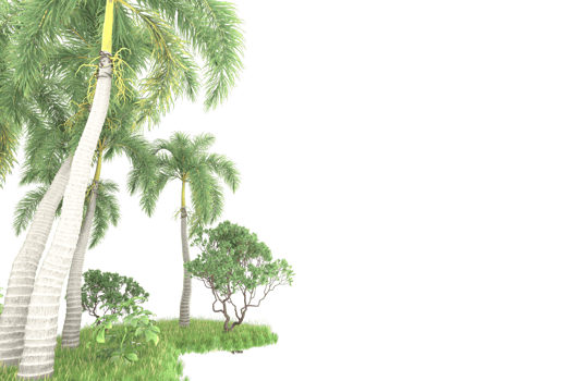 Realistic forest isolated on transparent background. 3d rendering - illustration png