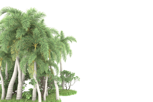 Realistic forest isolated on transparent background. 3d rendering - illustration png