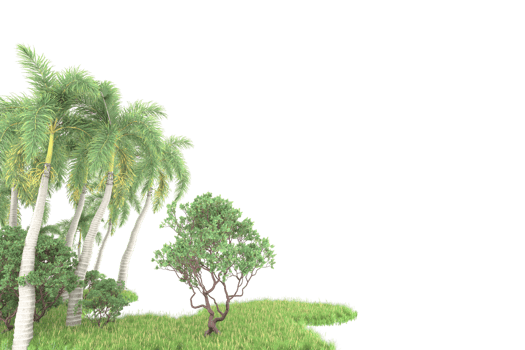 Realistic forest isolated on transparent background. 3d rendering - illustration png