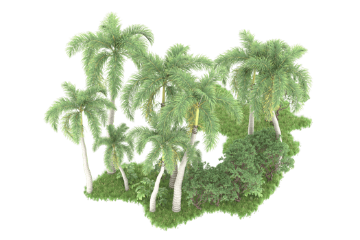 Realistic forest isolated on transparent background. 3d rendering - illustration png
