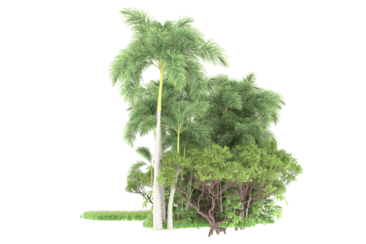 Realistic forest isolated on transparent background. 3d rendering - illustration png