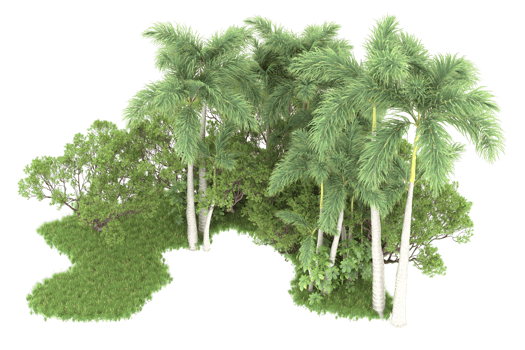 Realistic forest isolated on transparent background. 3d rendering - illustration png