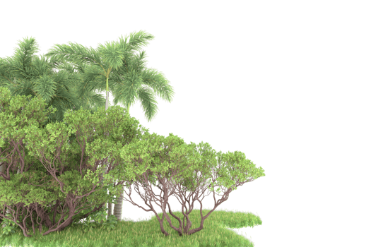 Realistic forest isolated on transparent background. 3d rendering - illustration png