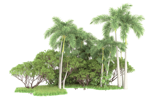 Realistic forest isolated on transparent background. 3d rendering - illustration png