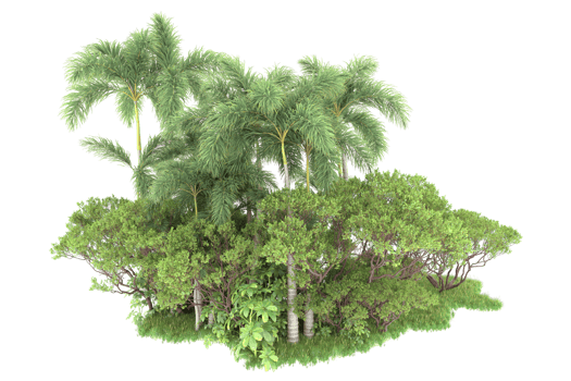 Realistic forest isolated on transparent background. 3d rendering - illustration png