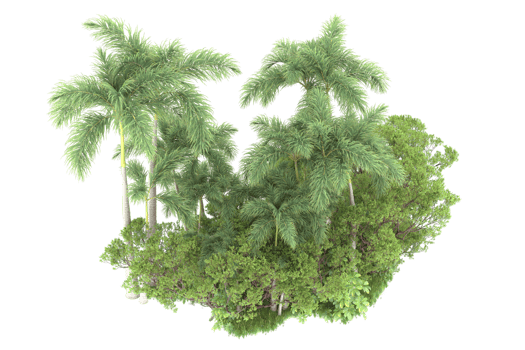 Realistic forest isolated on transparent background. 3d rendering - illustration png