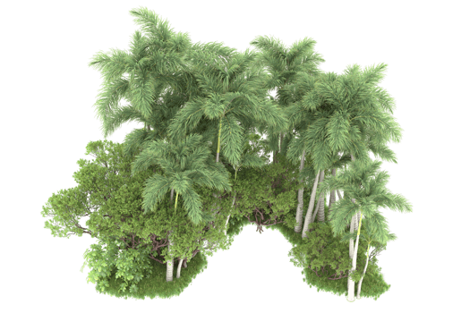 Realistic forest isolated on transparent background. 3d rendering - illustration png