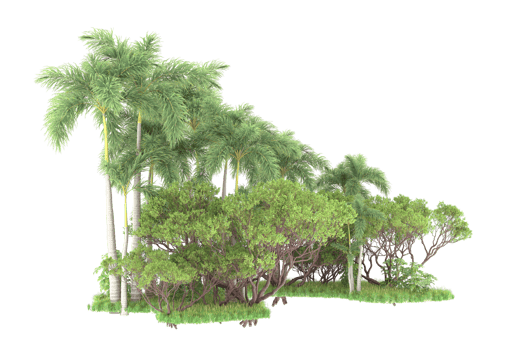 Realistic forest isolated on transparent background. 3d rendering - illustration png