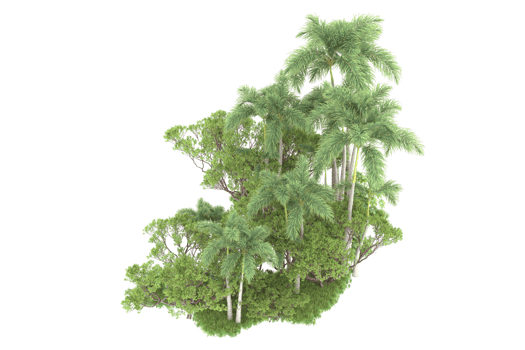 Realistic forest isolated on transparent background. 3d rendering - illustration png