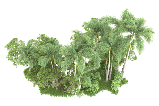Realistic forest isolated on transparent background. 3d rendering - illustration png