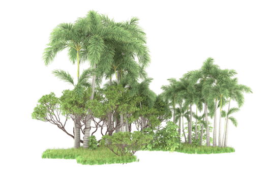 Realistic forest isolated on transparent background. 3d rendering - illustration png