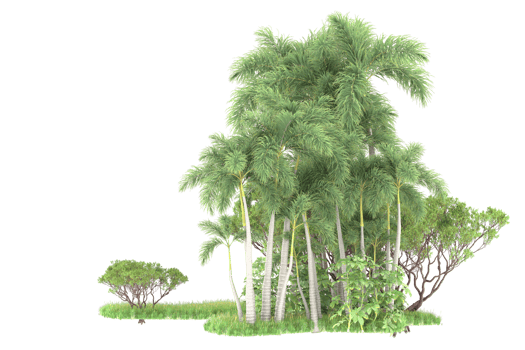 Realistic forest isolated on transparent background. 3d rendering - illustration png