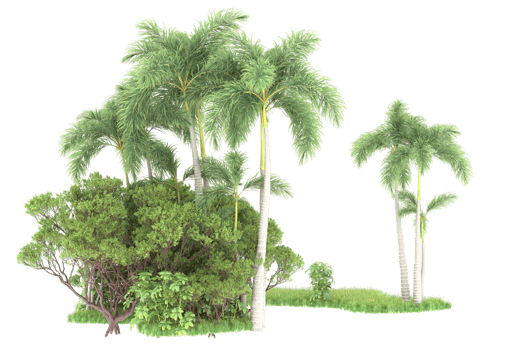 Realistic forest isolated on transparent background. 3d rendering - illustration png
