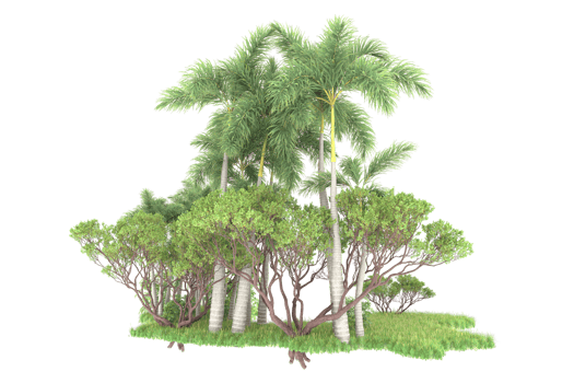 Realistic forest isolated on transparent background. 3d rendering - illustration png