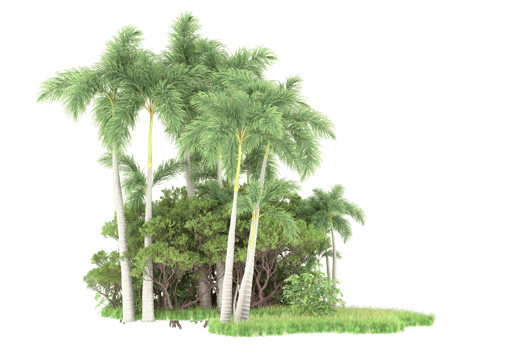 Realistic forest isolated on transparent background. 3d rendering - illustration png