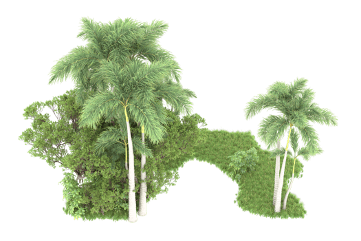 Realistic forest isolated on transparent background. 3d rendering - illustration png