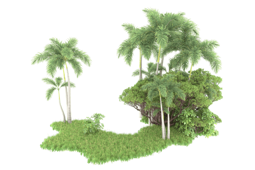 Realistic forest isolated on transparent background. 3d rendering - illustration png