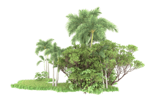 Realistic forest isolated on transparent background. 3d rendering - illustration png
