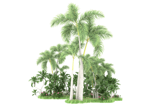 Realistic forest isolated on transparent background. 3d rendering - illustration png
