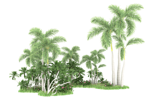 Realistic forest isolated on transparent background. 3d rendering - illustration png