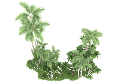 Realistic forest isolated on transparent background. 3d rendering - illustration png