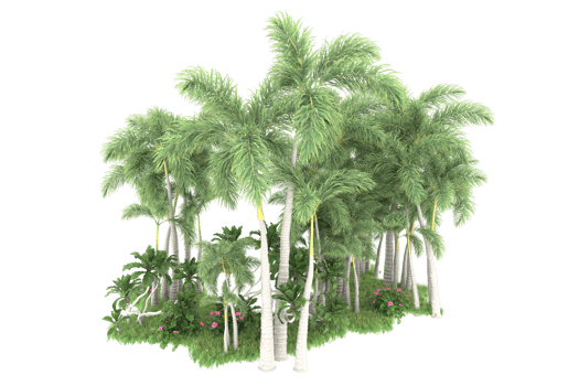 Realistic forest isolated on transparent background. 3d rendering - illustration png