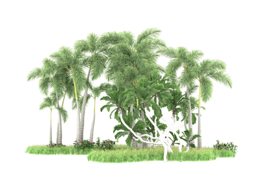 Realistic forest isolated on transparent background. 3d rendering - illustration png