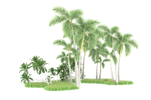 Realistic forest isolated on transparent background. 3d rendering - illustration png