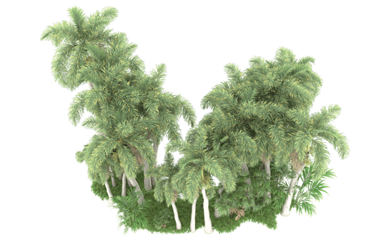 Realistic forest isolated on transparent background. 3d rendering - illustration png
