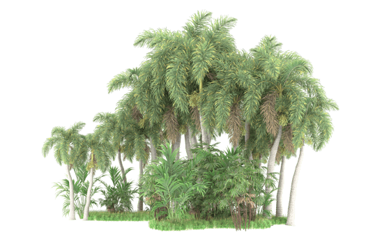 Realistic forest isolated on transparent background. 3d rendering - illustration png