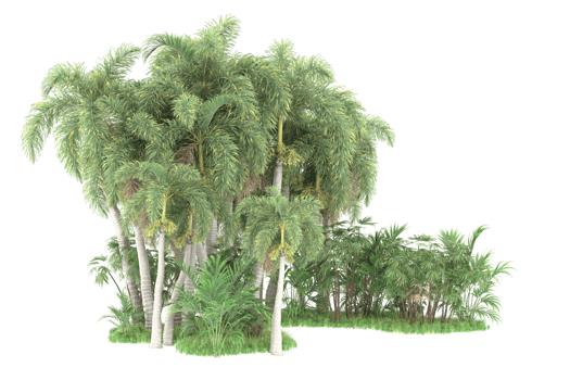 Realistic forest isolated on transparent background. 3d rendering - illustration png