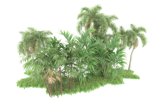 Realistic forest isolated on transparent background. 3d rendering - illustration png