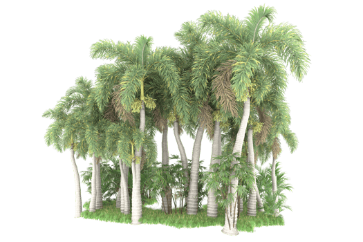 Realistic forest isolated on transparent background. 3d rendering - illustration png