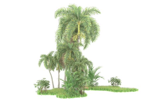 Realistic forest isolated on transparent background. 3d rendering - illustration png