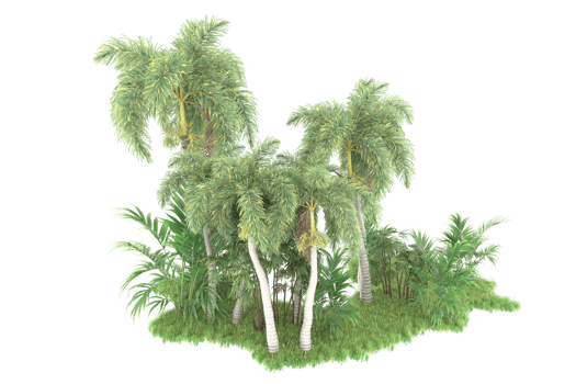 Realistic forest isolated on transparent background. 3d rendering - illustration png