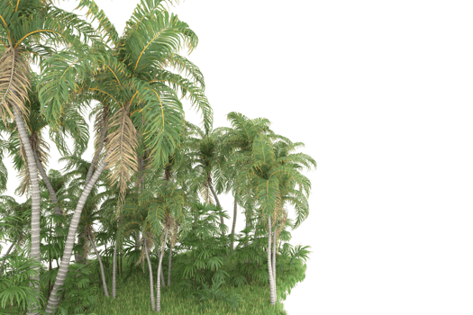 Realistic forest isolated on transparent background. 3d rendering - illustration png