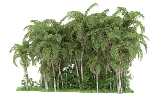 Realistic forest isolated on transparent background. 3d rendering - illustration png