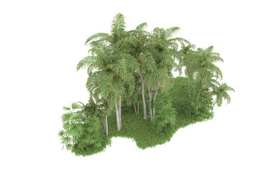 Realistic forest isolated on transparent background. 3d rendering - illustration png