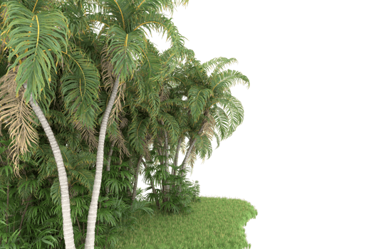 Realistic forest isolated on transparent background. 3d rendering - illustration png